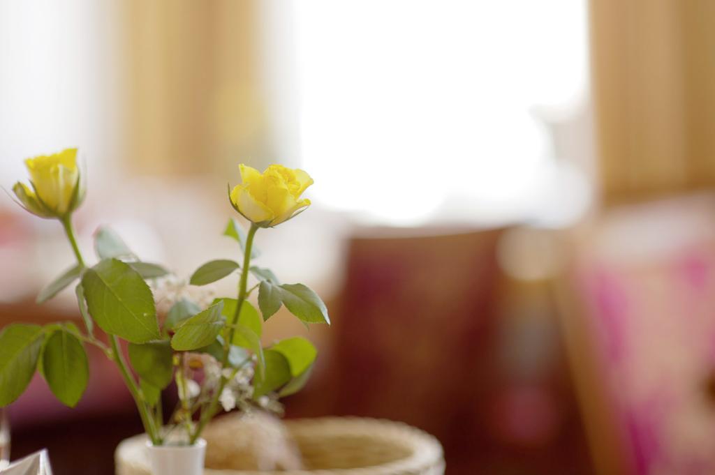 Trierer Hof Hotel